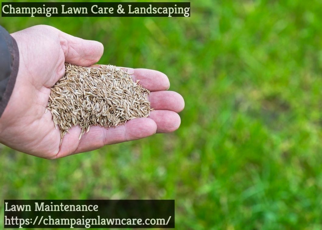 We offer quality lawn maintenance service in Champaign, IL! Quality Lawn Maintenance